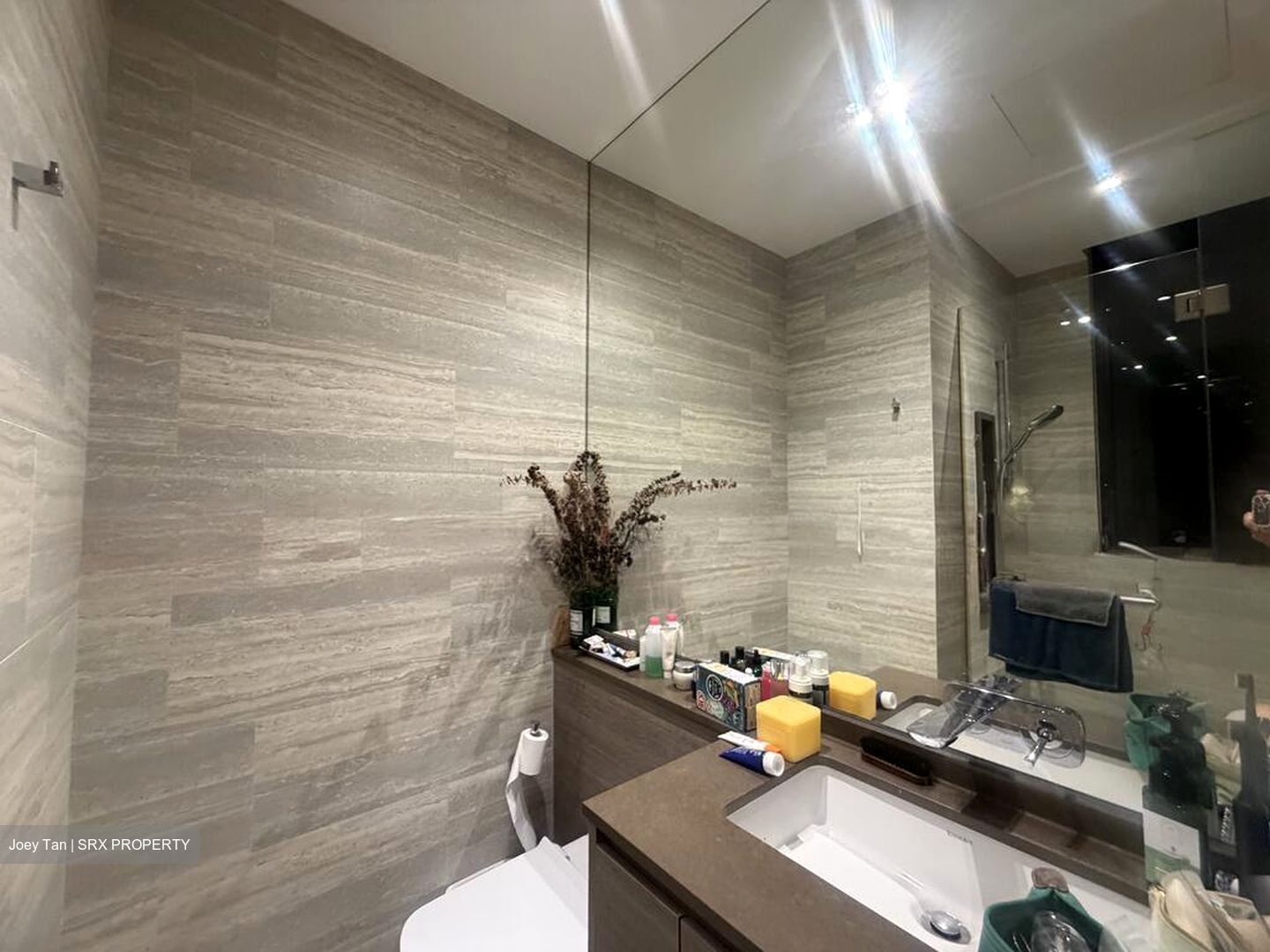 The Crest (D3), Condominium #568756981